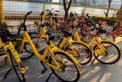 北京自行车爆料事件最新,真相与争议再掀波澜