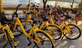 北京自行车爆料事件最新,真相与争议再掀波澜