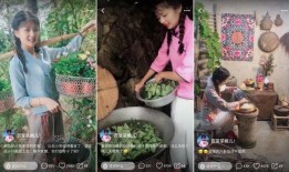 糟茶爆料最新视频,幕后真相大曝光！