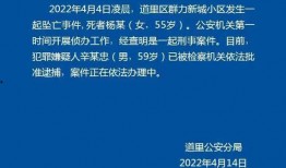 新城最新爆料新闻视频下载,最新爆料新闻视频深度解析
