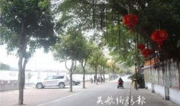 西安双竹村最新爆料新闻,揭秘古村落神秘往事与现状变迁