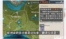 原神爆料预告最新消息在哪看,揭秘新角色与玩法，独家资讯汇总