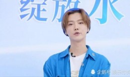 鹿晗在重庆最新爆料事件,揭秘幕后故事与精彩瞬间