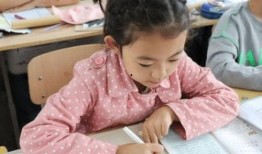 小学生最新爆料事件,校园奇闻轶事大揭秘